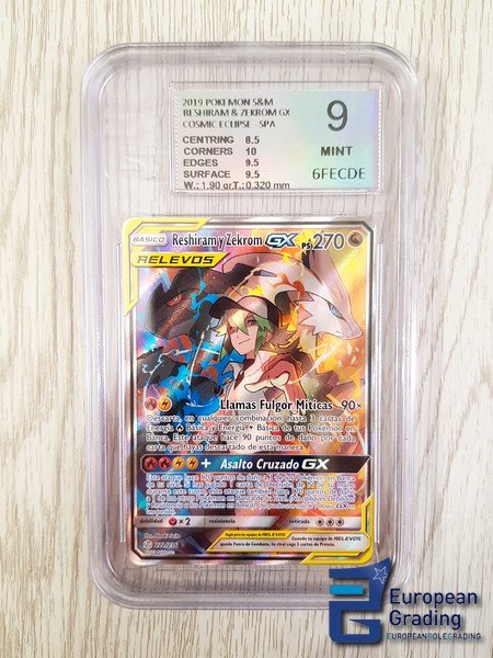 M Zekrom Ex carta pokemon -  España